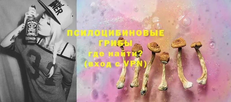 сколько стоит  Агидель  Псилоцибиновые грибы Psilocybe 